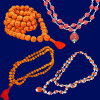 6 Mukhi Rudraksha Mala